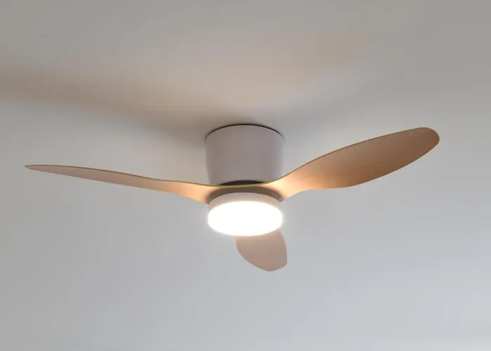 Lido 2 - * 阿尔盖罗