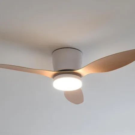 Lido 2 - * Αλγκέρο